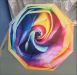 Parapluie Rose